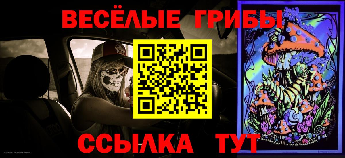 Галлюциногенные грибы мухоморы Гусь-Хрустальный
