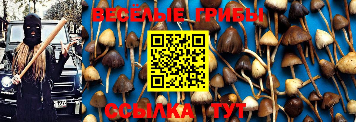 Галлюциногенные грибы Psilocybe  Вход с VPN  дарнет шоп  Гусь-Хрустальный 